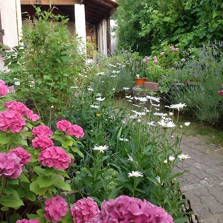 بيت ضيافة Le Beausejour قرقشونه